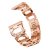 Metallarmband Samsung Galaxy Watch FE Roséguld