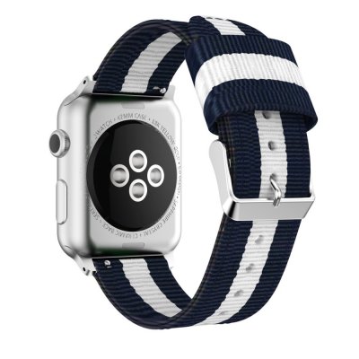 Köp Nylonarmband Apple Watch 45mm Series 9 Blå/Vit Online