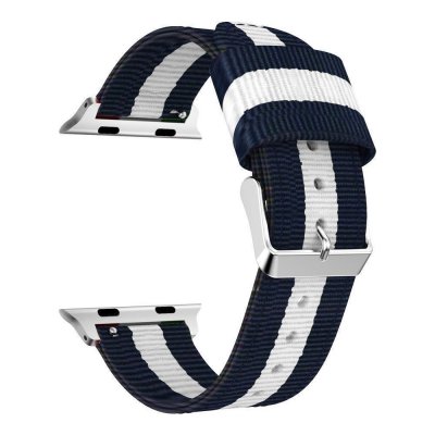Köp Nylonarmband Apple Watch 45mm Series 9 Blå/Vit Online